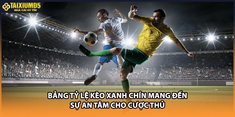 Bảng tỷ lệ kèo xanh chín mang đến sự an tâm cho cược thủ