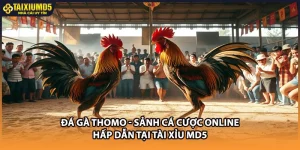 Đá Gà Thomo - Sảnh Cá Cược Online Hấp Dẫn Tại Tài Xỉu MD5