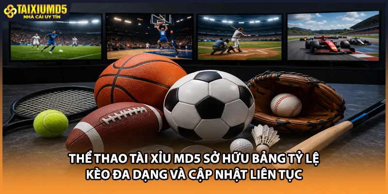 Thể thao Tài xỉu MD5 sở hữu bảng tỷ lệ kèo đa dạng và cập nhật liên tục