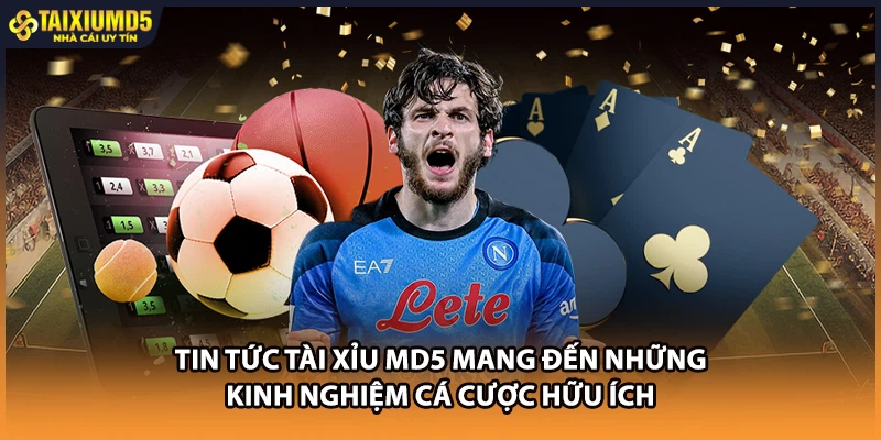 Tin tức Tài xỉu MD5 mang đến những kinh nghiệm cá cược hữu ích